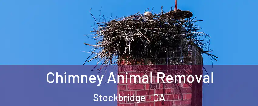 Chimney Animal Removal Stockbridge - GA