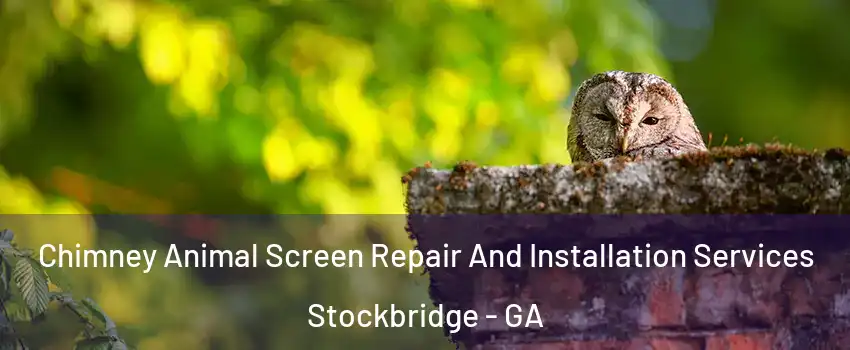  Chimney Animal Screen Repair And Installation Services Stockbridge - GA