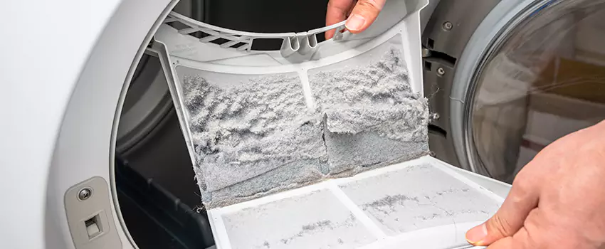 Best Dryer Lint Removal Company in Stockbridge, Georgia