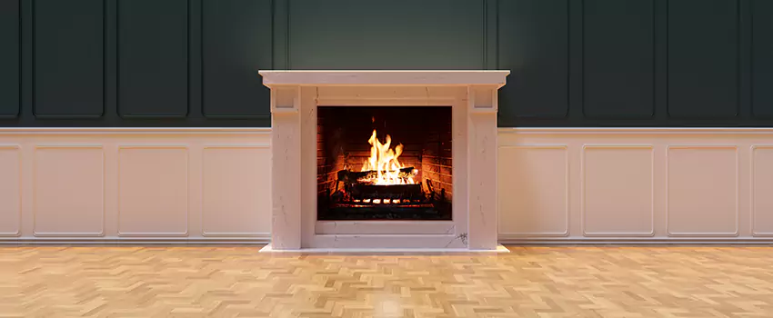 Napoleon Electric Fireplaces Inspection Service in Stockbridge, Georgia